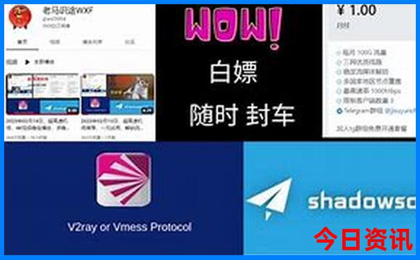 一个人怎么报团旅游